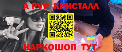 СК Бердск
