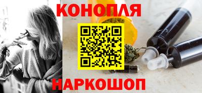 сатива Аргун