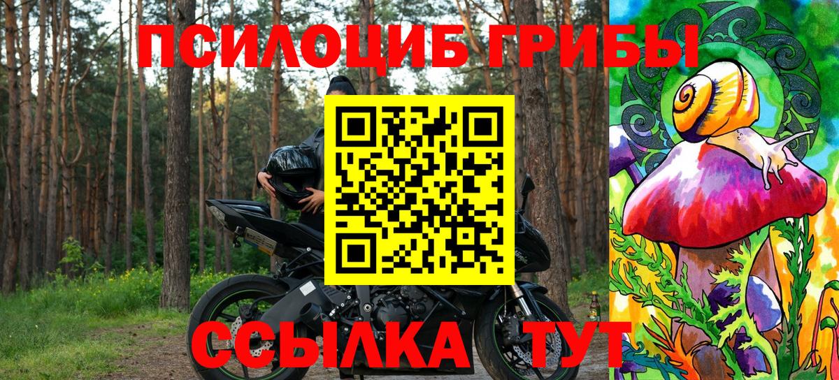 A PVP Боровичи