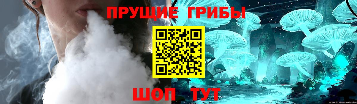 Галлюциногенные грибы MAGIC MUSHROOMS  Вход с VPN  Боровичи 